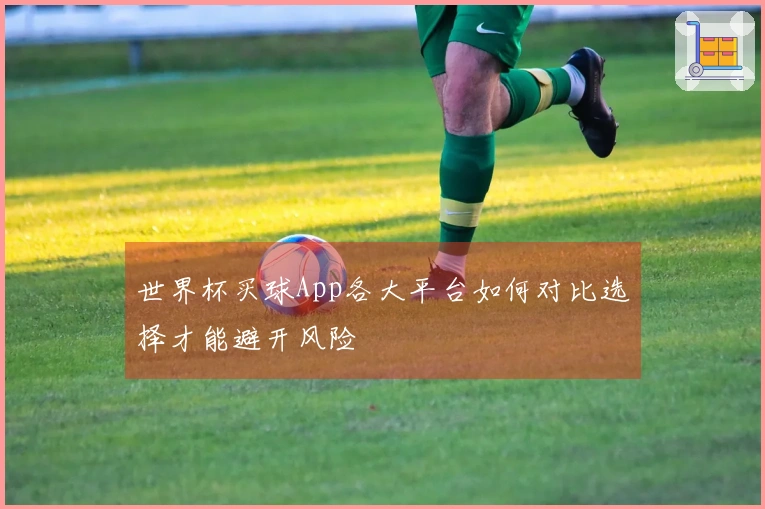世界杯买球App各大平台如何对比选择才能避开风险