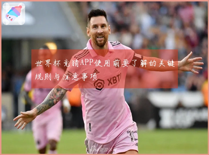 世界杯竞猜APP使用前要了解的关键规则与注意事项
